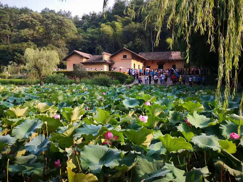 统计系统“不忘初心 牢记使命”专题培训班顺利开班