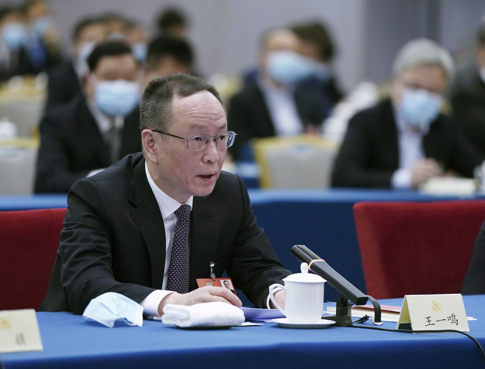 5月23日，全国政协委员王一鸣在经济界联组会上发言。新华社记者　谢环驰　摄