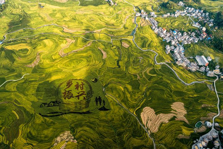 【鄉村振興】天津北辰區：“跨界融合”創出津郊鄉村振興新活力