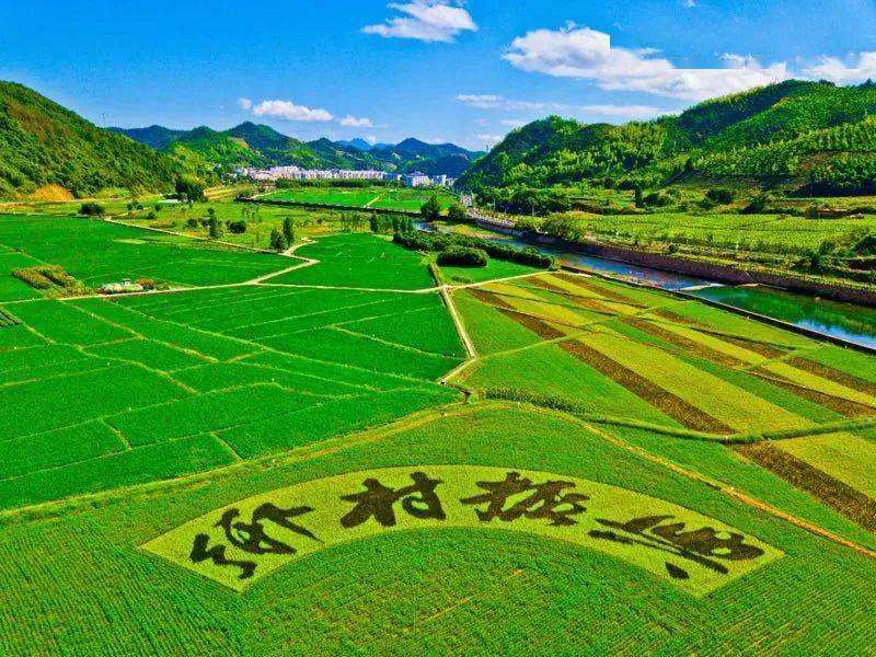 【鄉村振興】浙江共同富裕示范區建設穩步推進