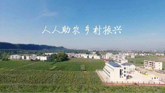 【鄉村振興】第八屆中國道地金銀花產業發展論壇在京舉行