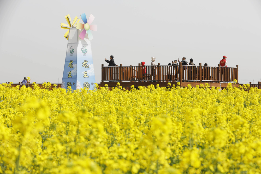【鄉村振興】2023年農業經濟形勢總體良好