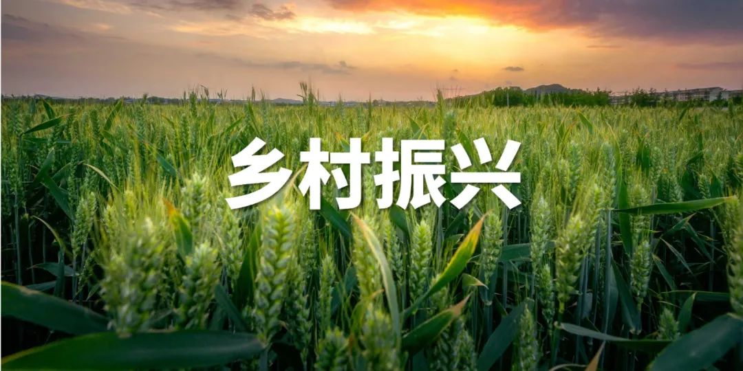 【鄉(xiāng)村振興】路越修越好、收入越來越高 農(nóng)村公路鋪就致富路
