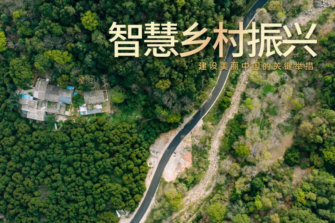 【鄉村振興】清風正氣護航鄉村全面振興